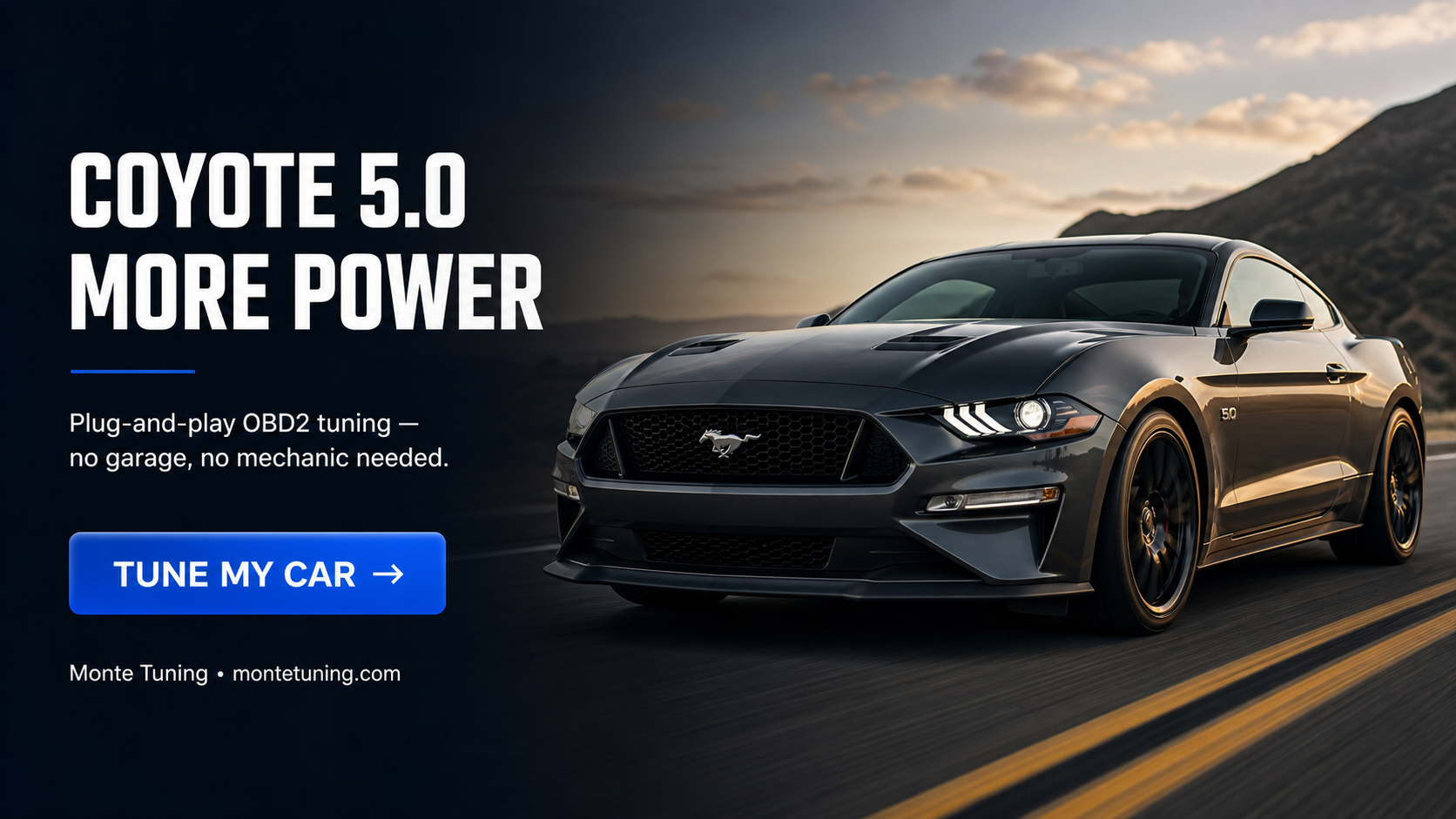 Banner Coyote 5.0 Tune: HP Gains, Mapping, and What to Expect